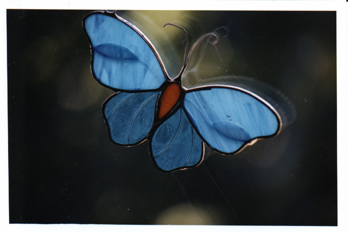 mariposa